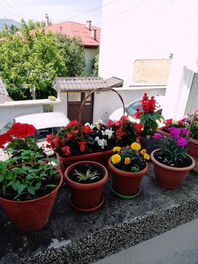 Apartman Ohren Сараево Экстерьер фото
